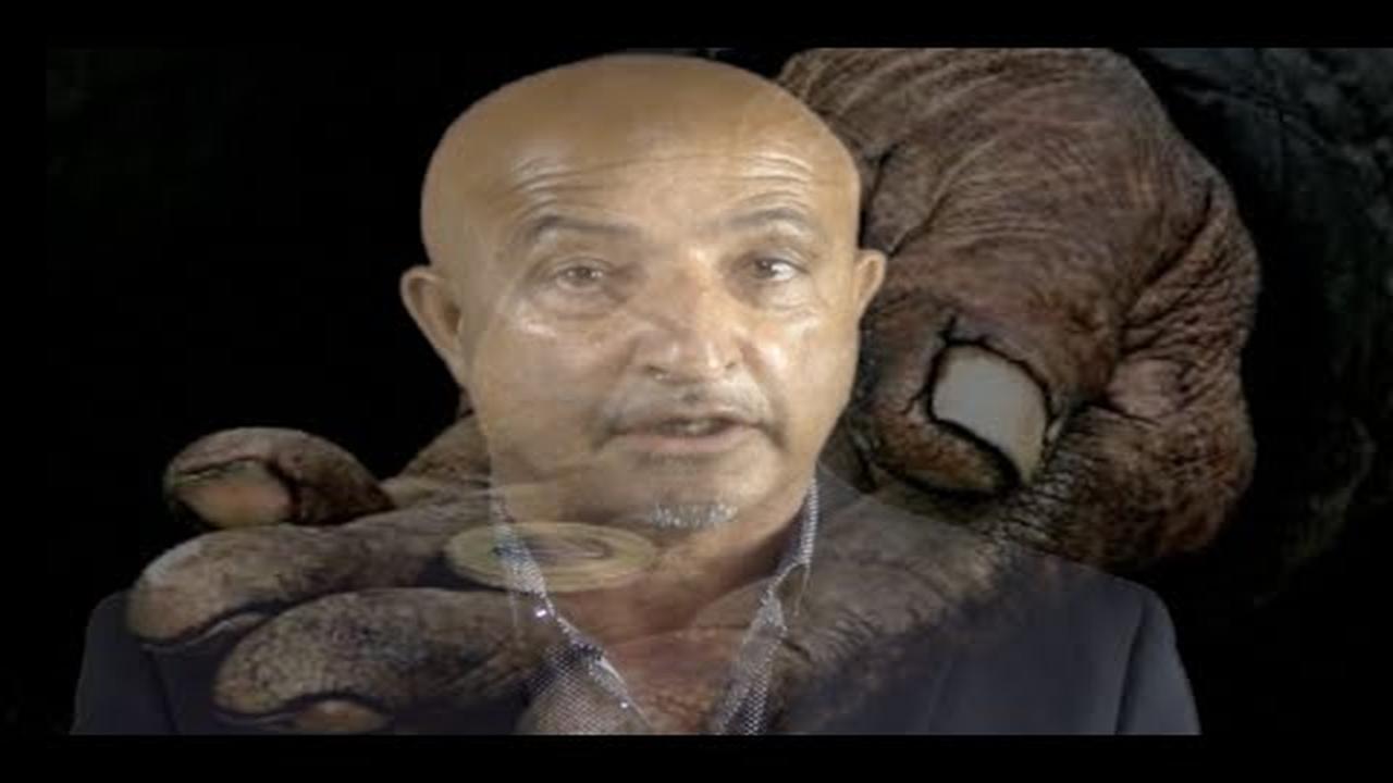 عید مبارک Shafie Ayar