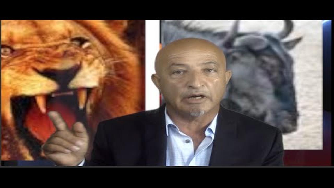 231- chee konam چی کنم Shafie Ayar