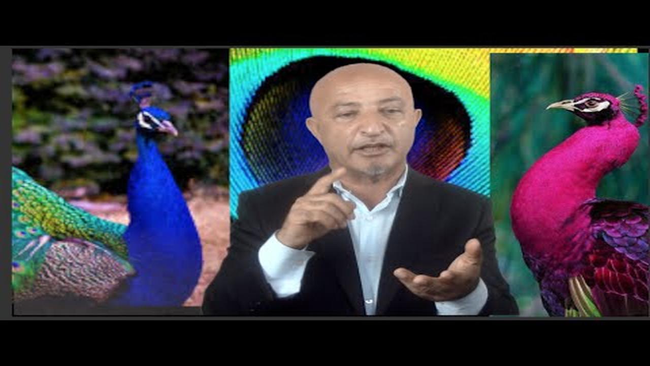 243-Masom-e-silsiladar معصومه ی سلسله دار shafie ayar