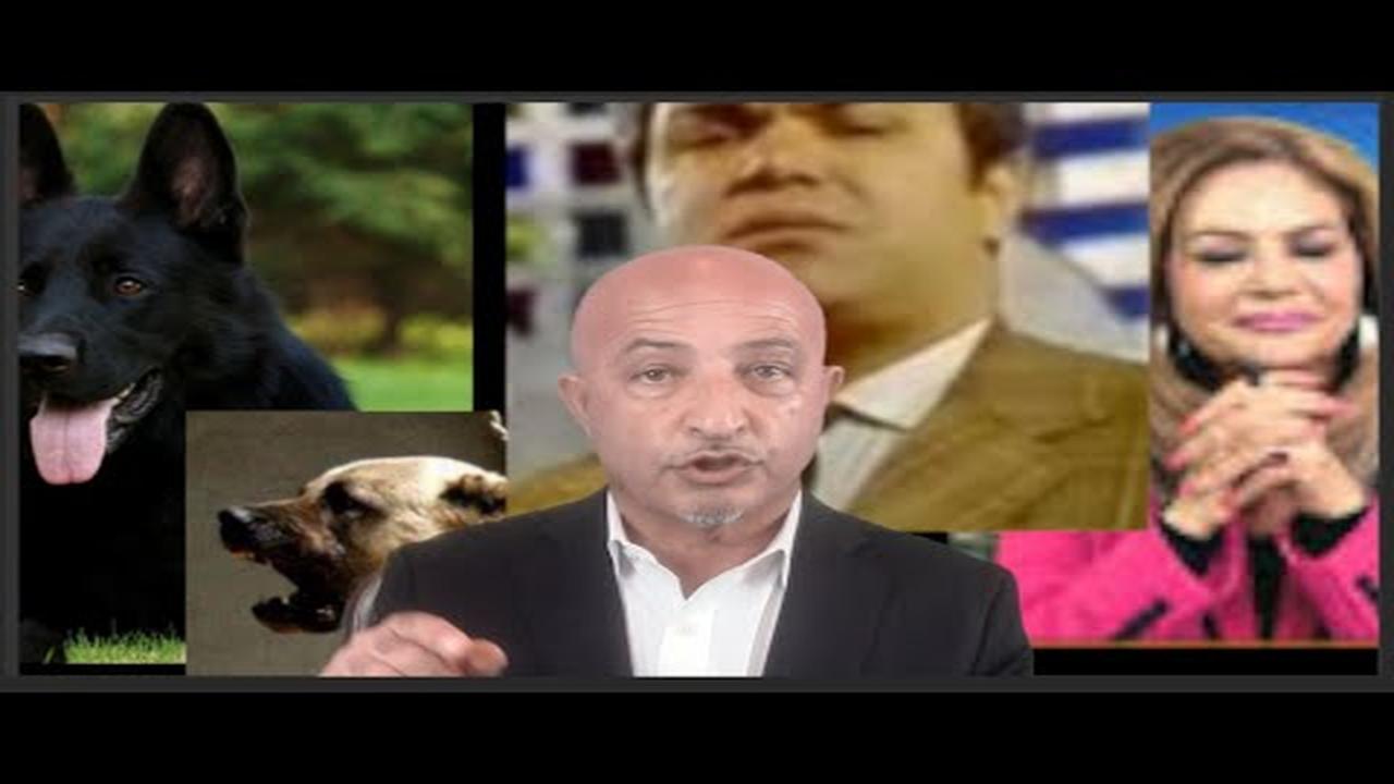 246- Sag-e Azadi سگ آزادی Shafie Ayar