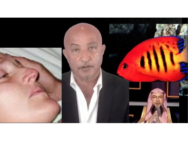 296- Sex with dead spouse آیا مرد بازنش که فوت شده میتواند همخوابه شود