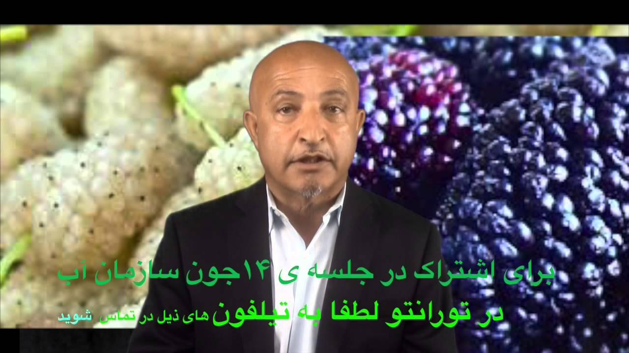 Toronto Meeting Shafie Ayar